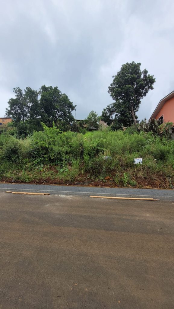 Imagem do WhatsApp de 2023-02-28 à(s) 14.46.44