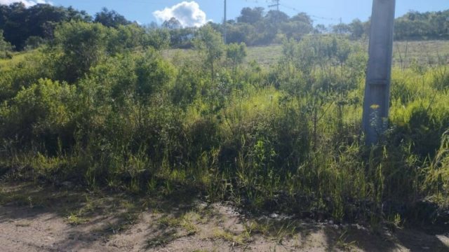 Terreno Lot Ventitin Planalto